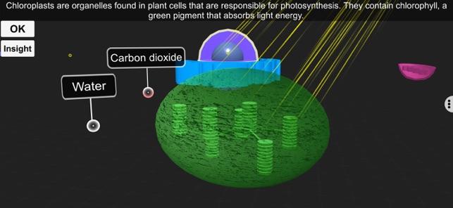 Amazing PhotosynthesisiPhone版截图8