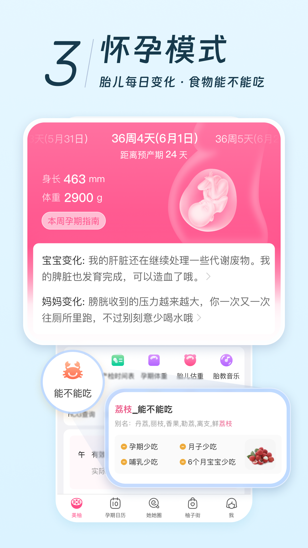 美柚截图5