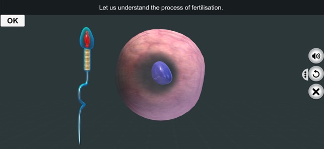 FertilisationiPhone版截图2