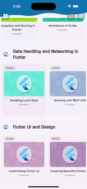 Learn Dart and Flutter CodingiPhone版截图4