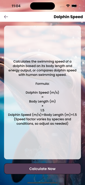 DolphinOceanSolveiPhone版截图2