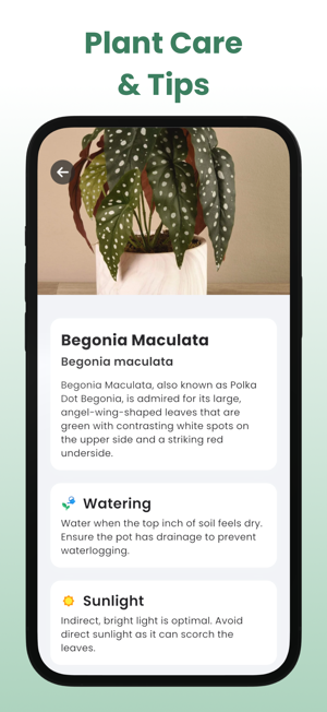 PlantAI: Plant Care IdentifieriPhone版截图2